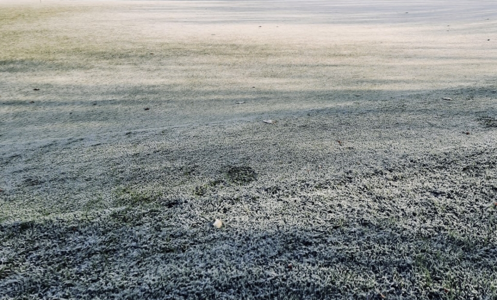 GREENKEEPING /// NEWS