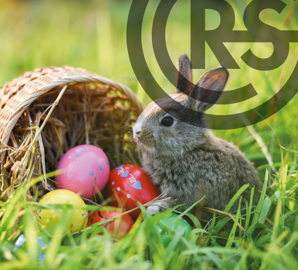 ONLINE GUTSCHEIN /// OSTER GESCHENK