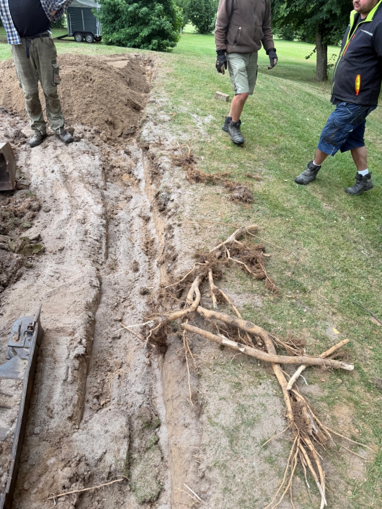 Greenkeeping News /// Juli 2026